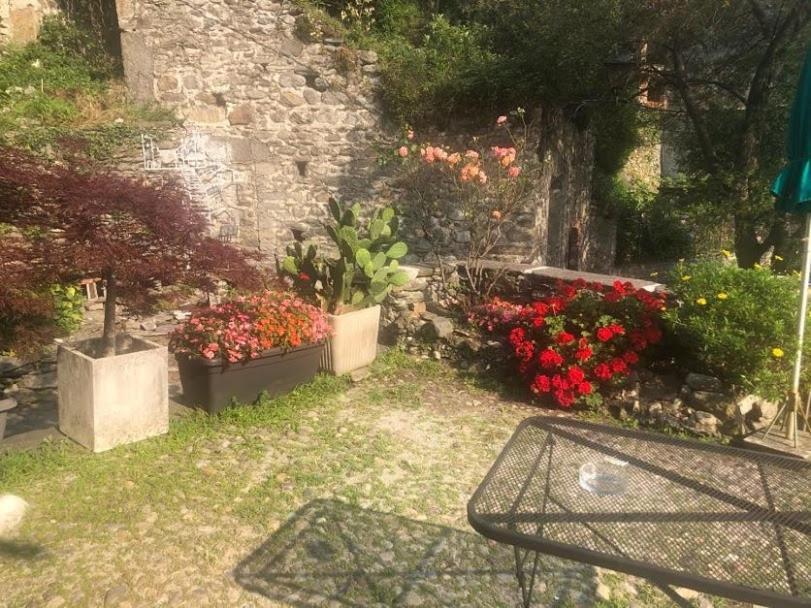 Casa Rosa Lägenhet Dervio Exteriör bild
